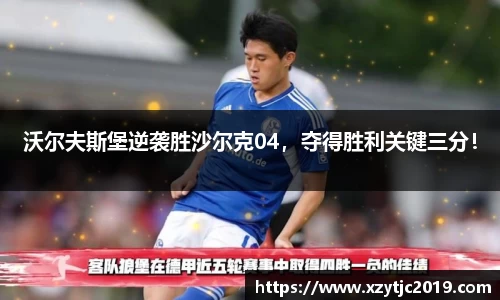 沃尔夫斯堡逆袭胜沙尔克04，夺得胜利关键三分！